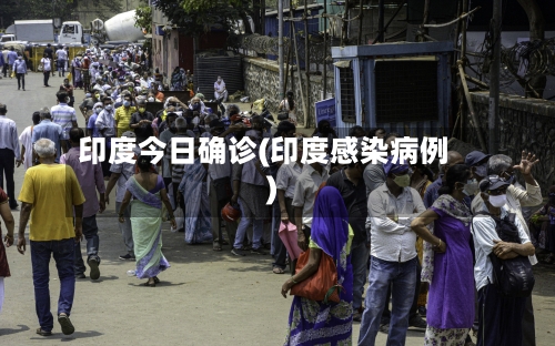 印度今日确诊(印度感染病例)-第2张图片
