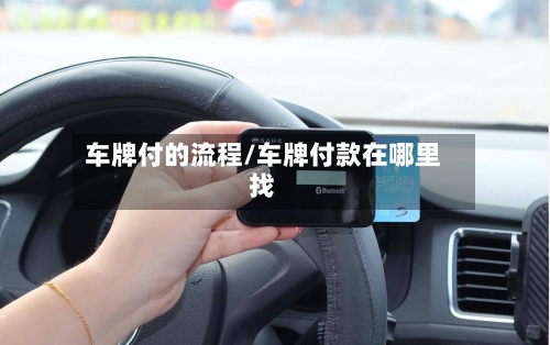 车牌付的流程/车牌付款在哪里找