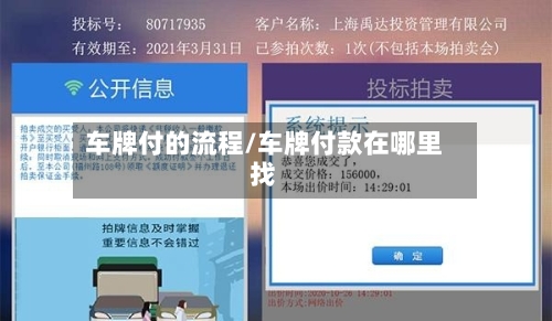 车牌付的流程/车牌付款在哪里找-第3张图片