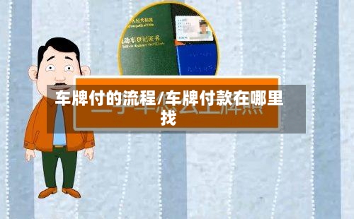 车牌付的流程/车牌付款在哪里找-第2张图片