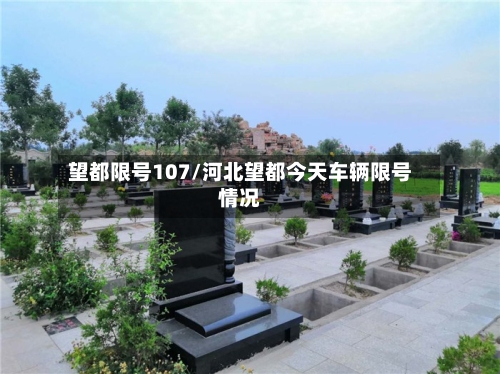 望都限号107/河北望都今天车辆限号情况-第2张图片
