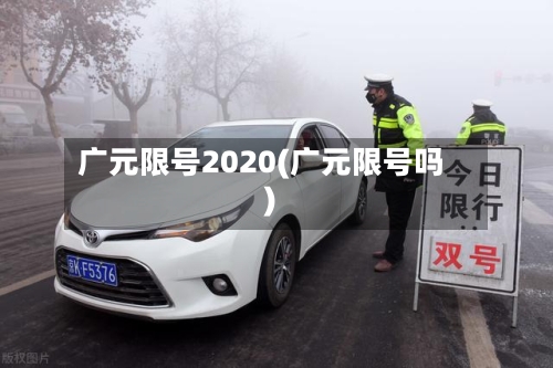 广元限号2020(广元限号吗)-第2张图片