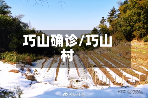 巧山确诊/巧山村