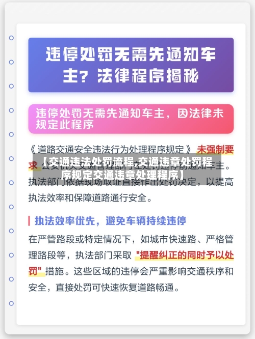 【交通违法处罚流程,交通违章处罚程序规定交通违章处理程序】-第3张图片