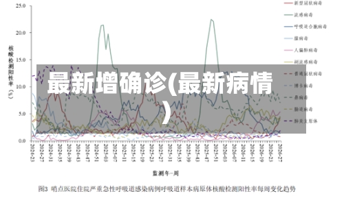 最新增确诊(最新病情)-第2张图片