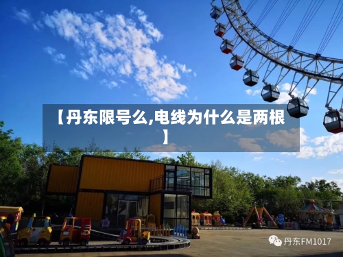 【丹东限号么,电线为什么是两根】-第3张图片