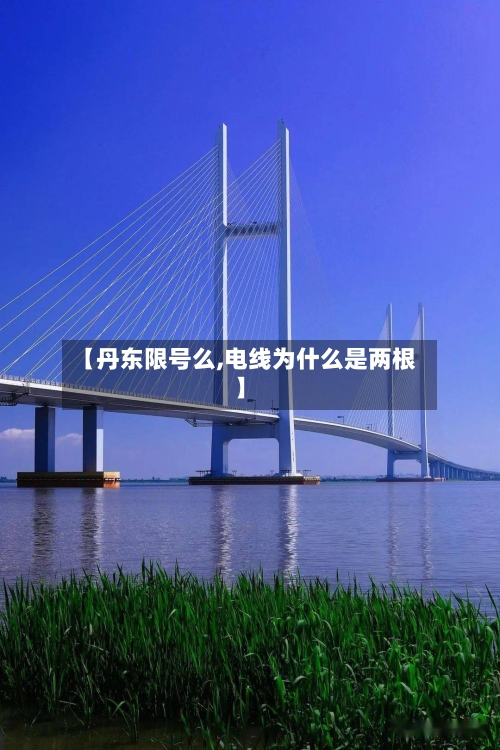 【丹东限号么,电线为什么是两根】-第2张图片