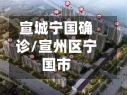 宣城宁国确诊/宣州区宁国市-第2张图片