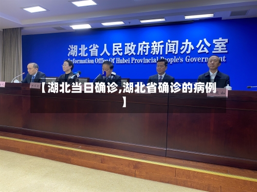 【湖北当日确诊,湖北省确诊的病例】-第2张图片