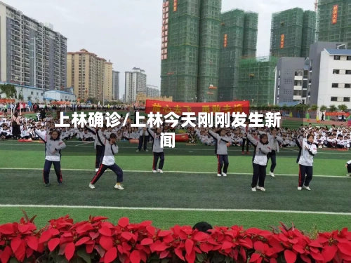 上林确诊/上林今天刚刚发生新闻-第2张图片