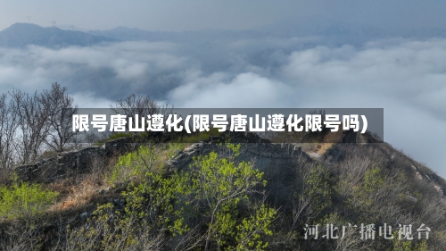 限号唐山遵化(限号唐山遵化限号吗)