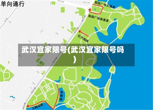武汉宜家限号(武汉宜家限号吗)-第2张图片
