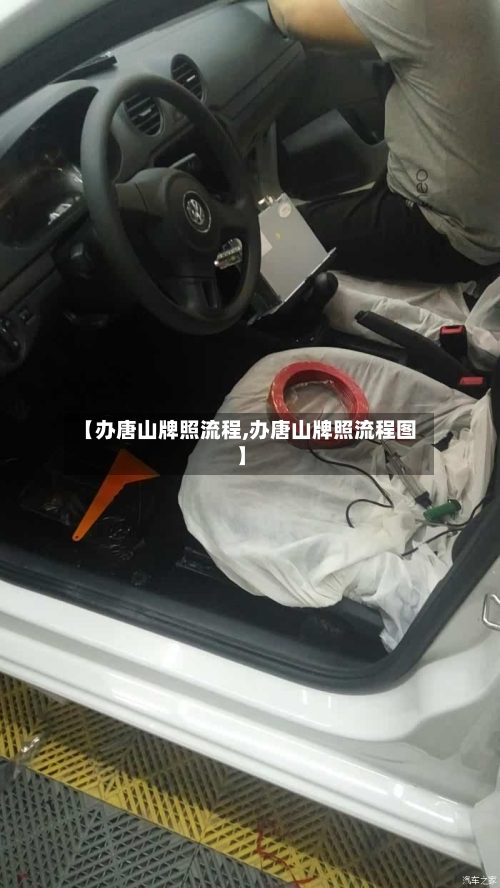 【办唐山牌照流程,办唐山牌照流程图】