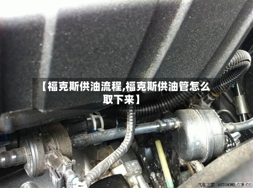 【福克斯供油流程,福克斯供油管怎么取下来】-第2张图片
