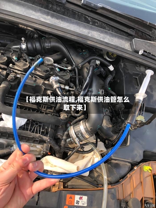 【福克斯供油流程,福克斯供油管怎么取下来】