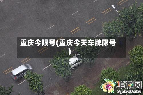 重庆今限号(重庆今天车牌限号)-第2张图片