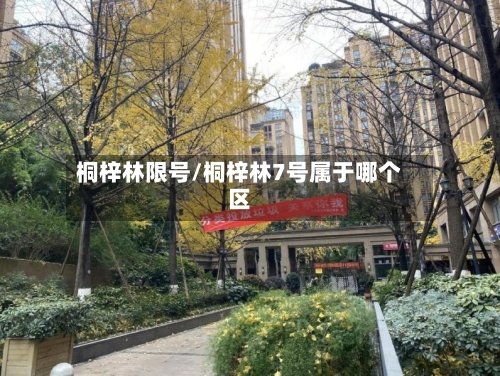 桐梓林限号/桐梓林7号属于哪个区-第3张图片