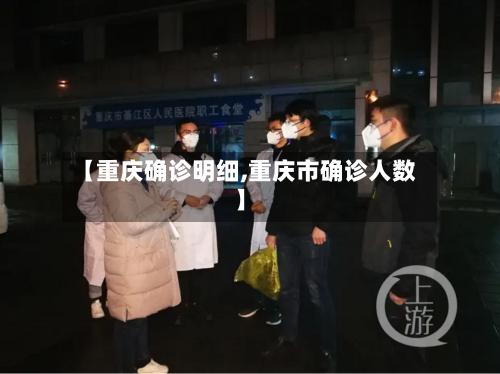 【重庆确诊明细,重庆市确诊人数】