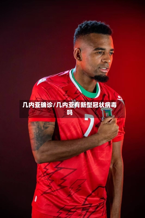 几内亚确诊/几内亚有新型冠状病毒吗