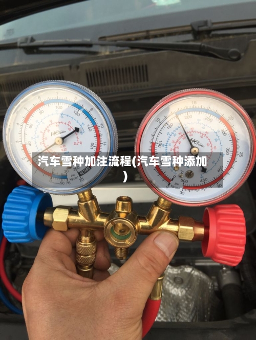 汽车雪种加注流程(汽车雪种添加)