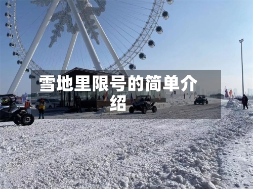 雪地里限号的简单介绍