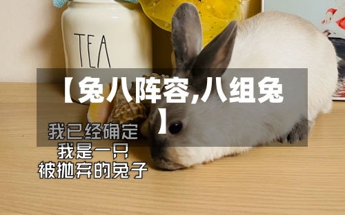 【兔八阵容,八组兔】-第2张图片