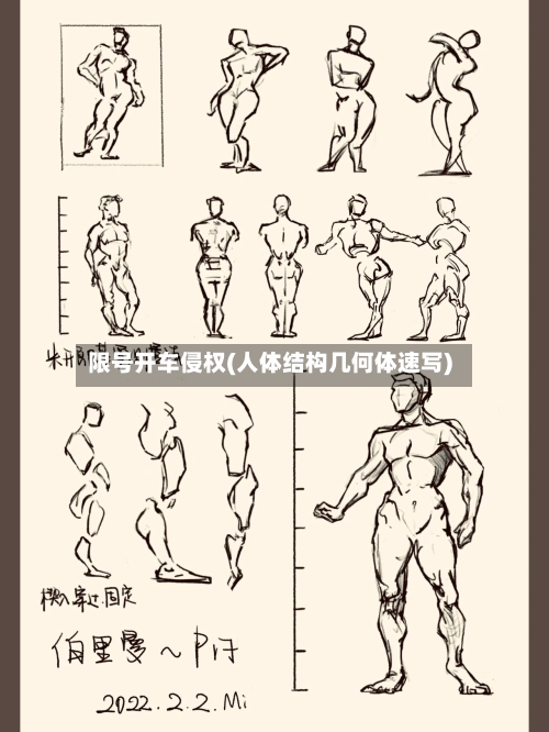 限号开车侵权(人体结构几何体速写)-第2张图片