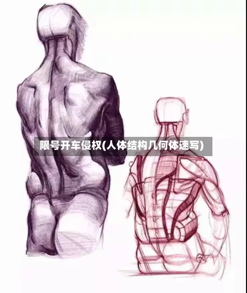 限号开车侵权(人体结构几何体速写)