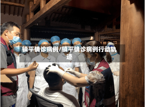 镇平确诊病例/镇平确诊病例行动轨迹