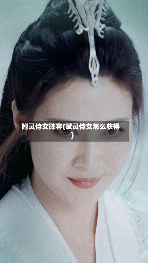 附灵侍女阵容(赋灵侍女怎么获得)