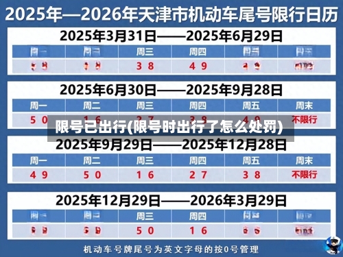 限号已出行(限号时出行了怎么处罚)-第2张图片