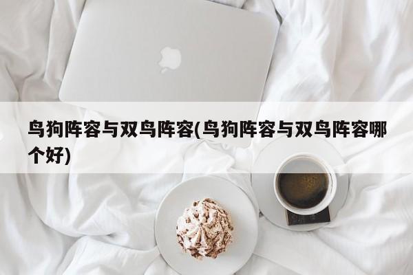 鸟狗阵容与双鸟阵容(鸟狗阵容与双鸟阵容哪个好)