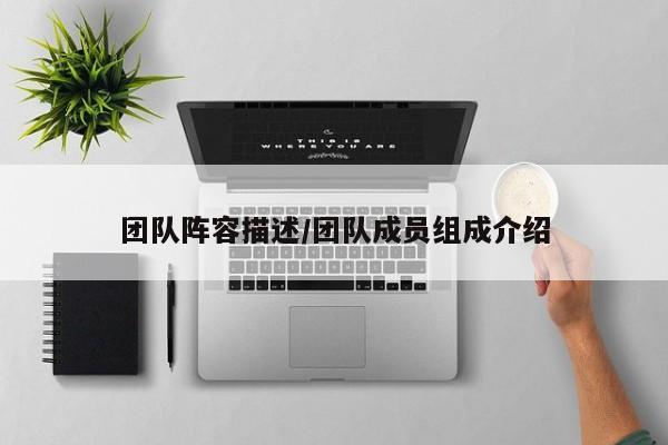 团队阵容描述/团队成员组成介绍