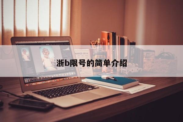 浙b限号的简单介绍