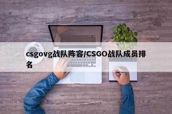 csgovg战队阵容/CSGO战队成员排名