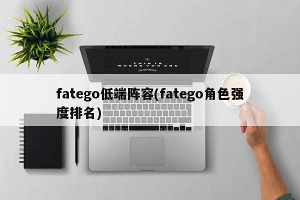 fatego低端阵容(fatego角色强度排名)