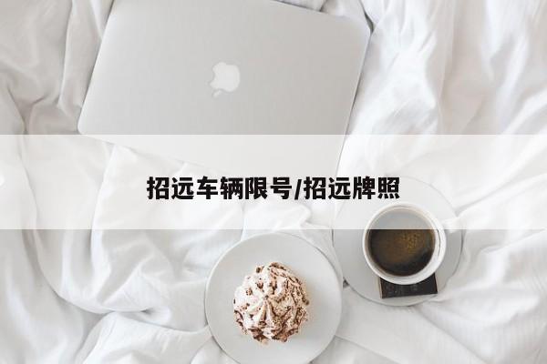 招远车辆限号/招远牌照