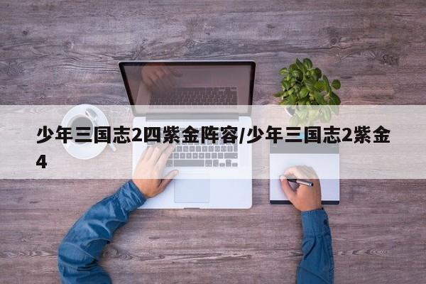 少年三国志2四紫金阵容/少年三国志2紫金4