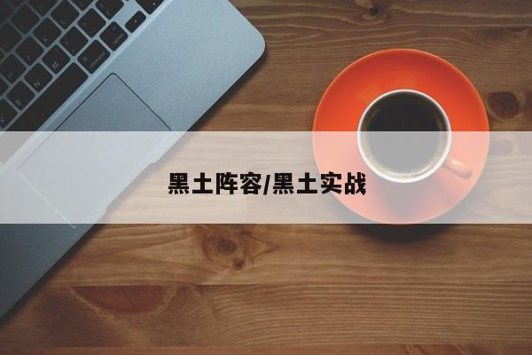 黑土阵容/黑土实战