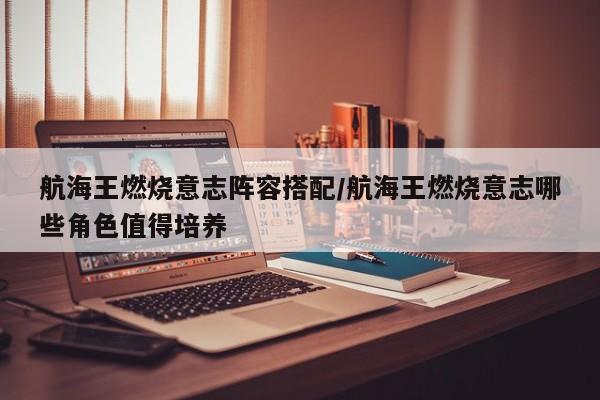航海王燃烧意志阵容搭配/航海王燃烧意志哪些角色值得培养