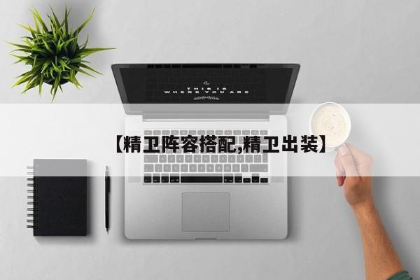 【精卫阵容搭配,精卫出装】