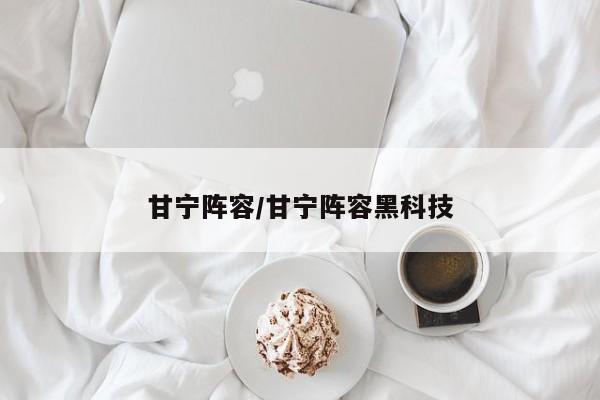 甘宁阵容/甘宁阵容黑科技