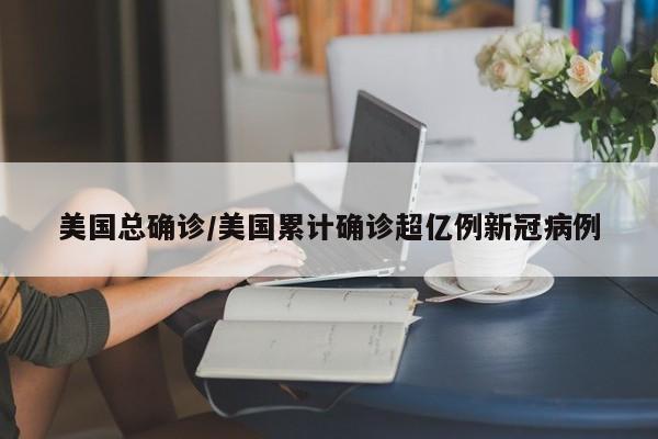 美国总确诊/美国累计确诊超亿例新冠病例