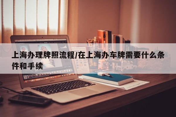 上海办理牌照流程/在上海办车牌需要什么条件和手续